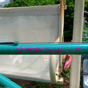 1988 Schwinn Woodlands made in Hungary Teal