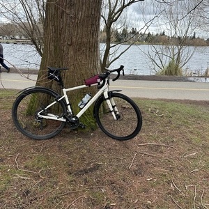2023 Specialized Diverge e5 White