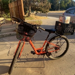 2019 Specialized Roll Sport Pink