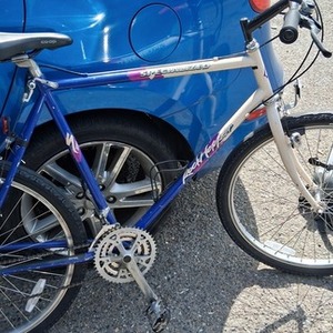 1995 Specialized Rockhopper Blue, White, and Purple