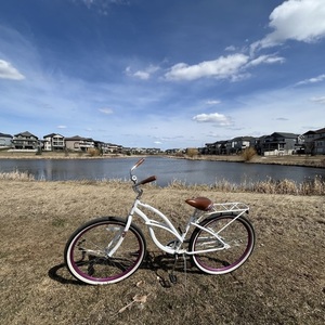 Schwinn Cruiser One White and Purple