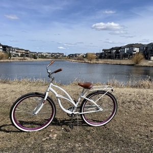 Schwinn Cruiser One White and Purple
