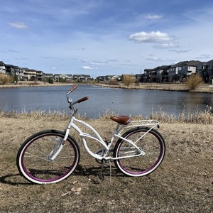 Schwinn Cruiser One White and Purple