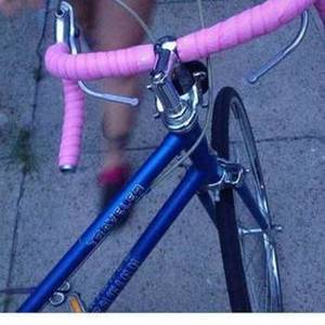 Schwinn Traveler Blue