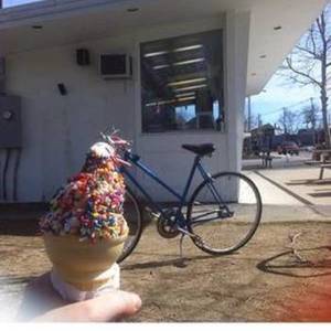 Schwinn Traveler Blue