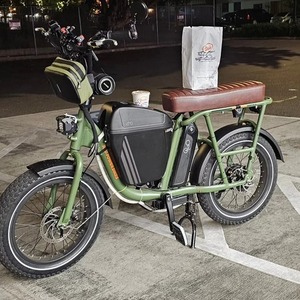 2020 Rad Power Bikes Radrunner Green