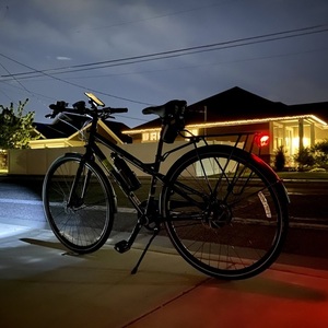 2014 Novara Gotham Black