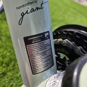 2025 Liv Bliss 26 xs desert sage-gu Teal and Green