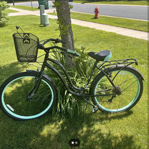 Schwinn Fairhaven Black and Green