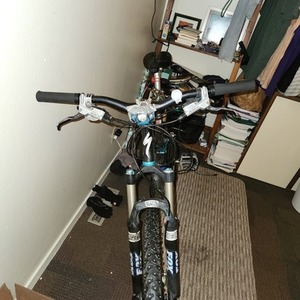 2025 Specialized Saffire comp Silver, gray or bare metal