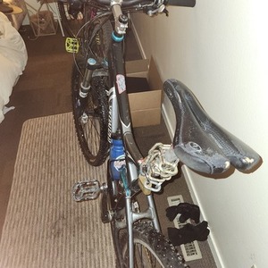 2025 Specialized Saffire comp Silver, gray or bare metal