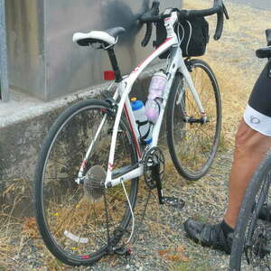 2015 Trek Silque White