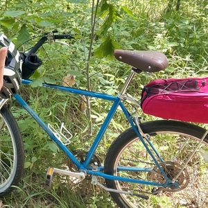 1989 Schwinn Crusier Deluxe Blue