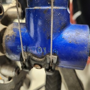 Bianchi Boardwalk Blue