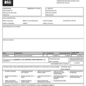 2025 REI Co-op CTY e2.2 Electric Bike L Green