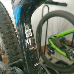 2021 Giant Anthem Black and Blue