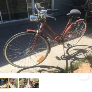 1975 Schwinn Brown