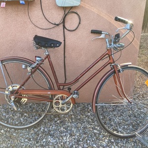 1975 Schwinn Brown
