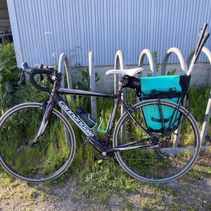 Cannondale Synapse 5 Purple