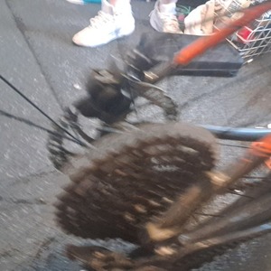 2022 Cannondale Cannondale Cujo 2n Black and Orange