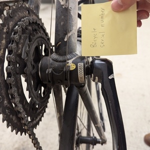 Tommaso Fascino White and Black