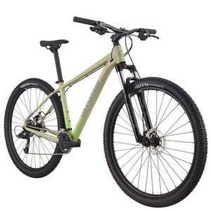 2023 Cannondale Trail 8 Brown and Yellow or Gold