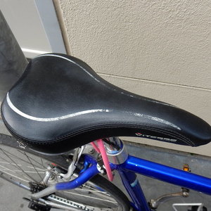 Vitesse Sprint 21speed Blue