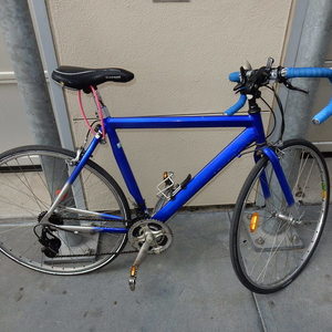 Vitesse Sprint 21speed Blue