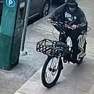 2019 Eunorau Max Cargo White