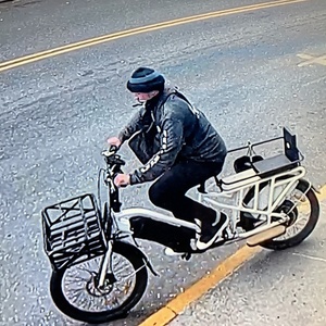 2019 Eunorau Max Cargo White