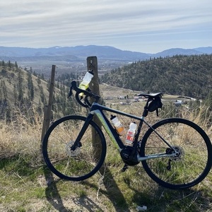 2019 Cannondale Synopsis Neo Green