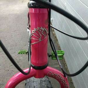 2025 Peacock Groove Fatbike Pink