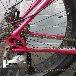 2025 Peacock Groove Fatbike Pink