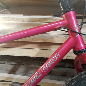 2025 Peacock Groove Fatbike Pink