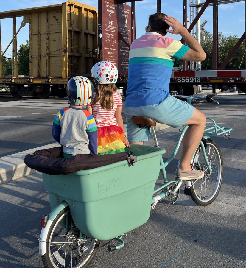 Cargo Bike Rear photo