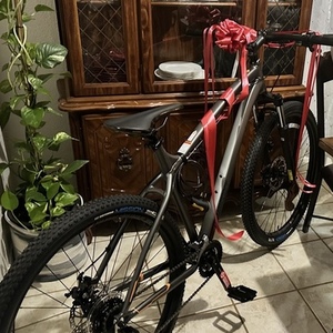 2024 Diamondback Overdrive 29 1 Silver, gray or bare metal