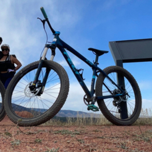 2017 Felt Surplus Blue