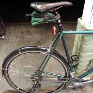 Davidson Signature Blue and Green