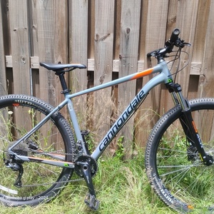 2025 Cannondale Trail seven Silver, gray or bare metal