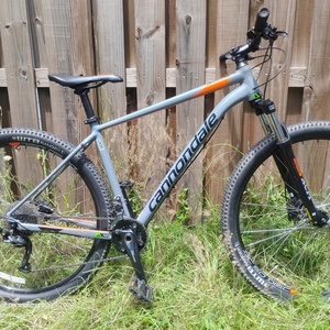 2025 Cannondale Trail seven Silver, gray or bare metal