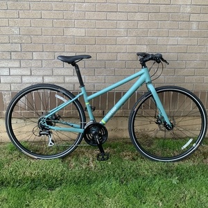 REI Co-op CTY 1.1 Hybrid, step through Teal