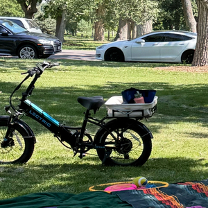 2024 Lectric eBikes XP 3.0 long range black step thru cargo bike rear Black and Blue