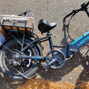 2024 Lectric eBikes XP 3.0 long range black step thru cargo bike rear Black and Blue