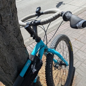 Surly Bridge Club Blue