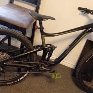 2021 Giant Trance Black and Yellow or Gold