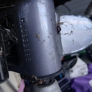 Pacific Cycle Exploit fv3 Silver, gray or bare metal and Blue