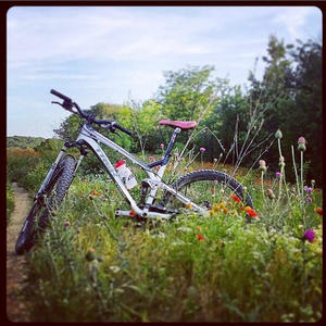 2010 Trek Top Fuel 8 WSD White