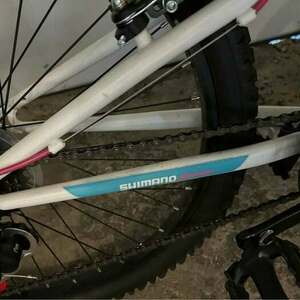 2024 Shimano Shimano Vertical AE24 Teal