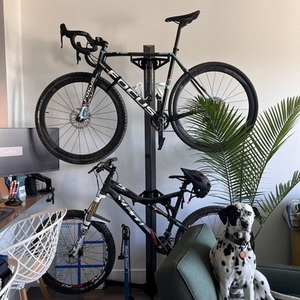 2015 Focus Mares Black