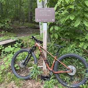 2025 Trek 5283661 Orange